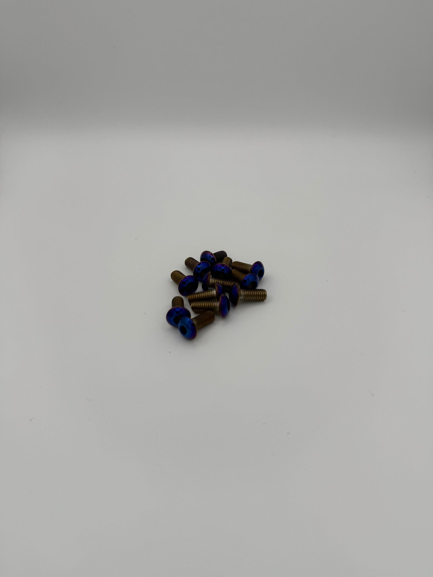 Titanium Frame Bolts - 12-Piece Set