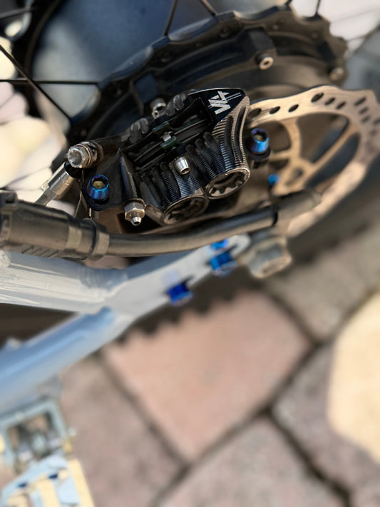 Titanium Rear Caliper Bolts - 2-Piece Set