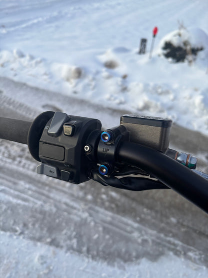 ultra bee brake mount titanium