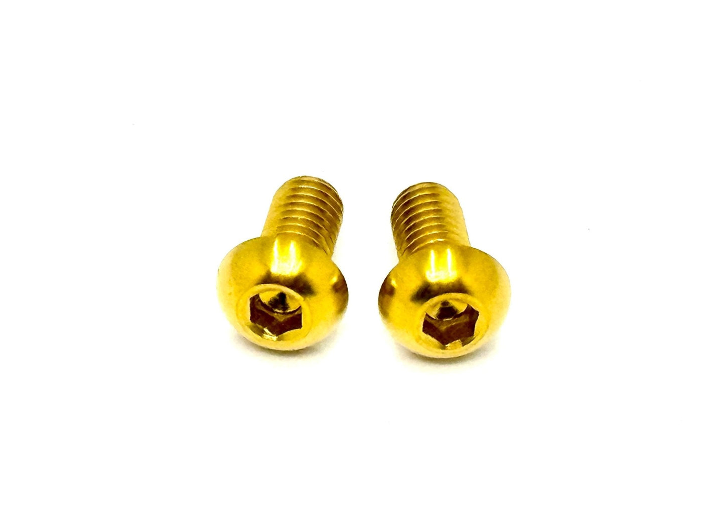Titanium Motor Cover Bolts (Set of Two) Surron, Segway, 79 Bike, ERP